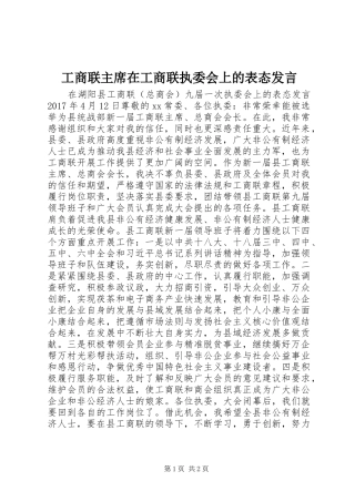 工商联主席在工商联执委会上的表态发言