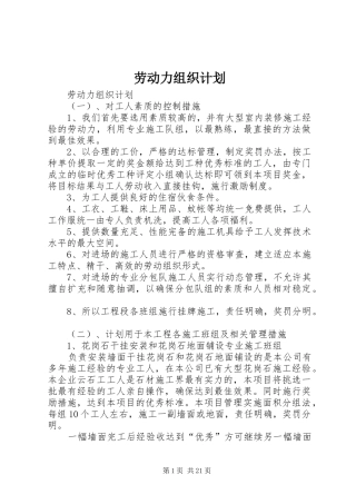 劳动力组织计划