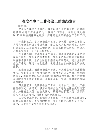 在安全生产工作会议上的表态发言