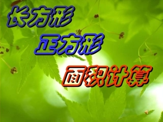 长方形正方形的面积计算