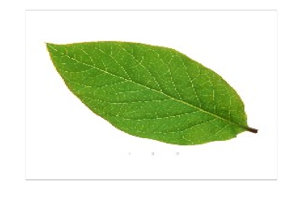 《周长的认识》PPT课件之一_第2页