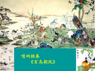 百鸟朝凤课件