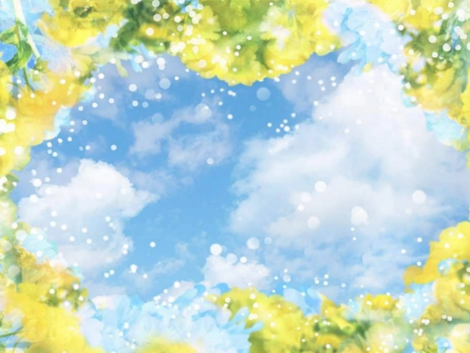 《小乌龟找工作》课件_第1页