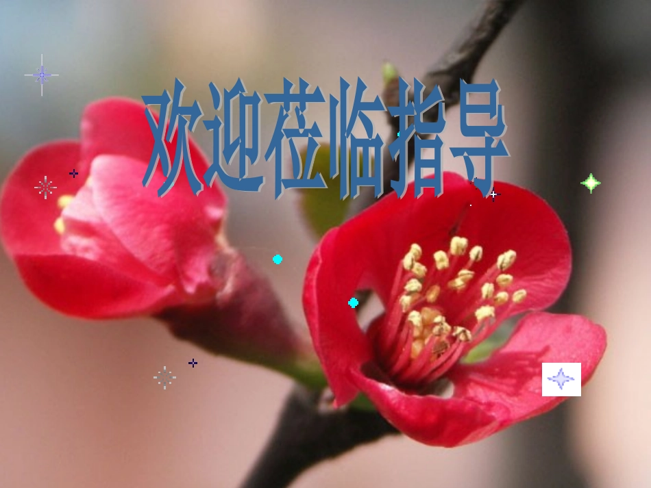 放飞理想寻找人生目标--钟品优_第1页