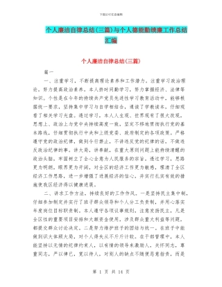 个人廉洁自律总结与个人德能勤绩廉工作总结汇编