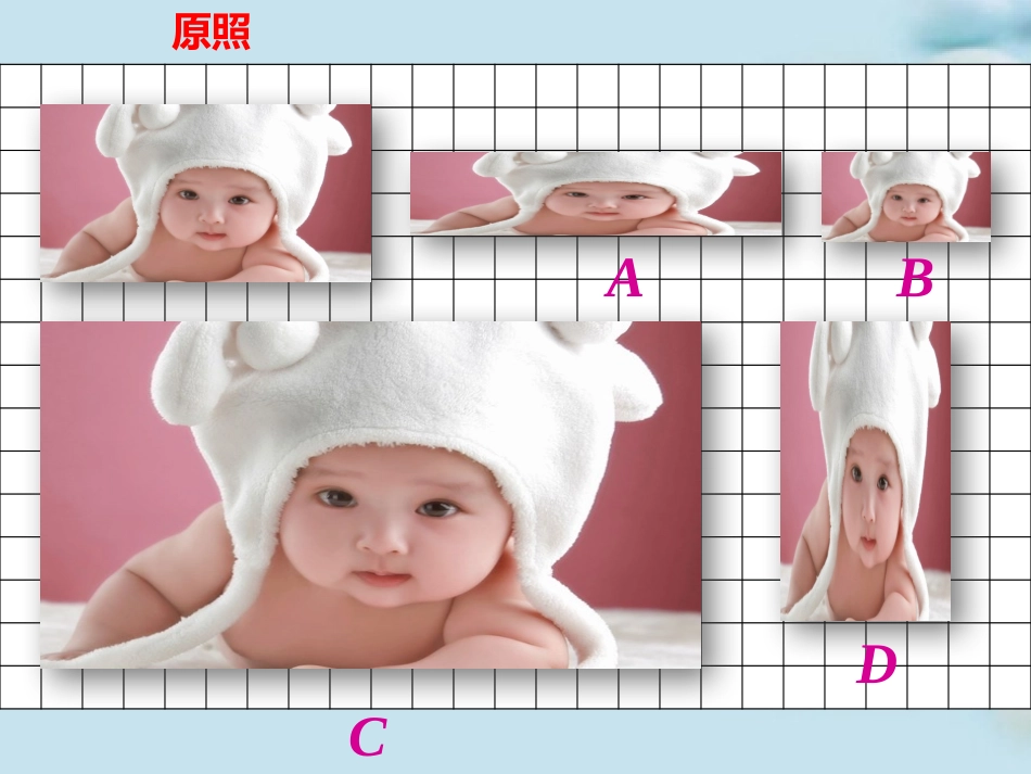 课题六图形的放大与缩小（A案_第3页