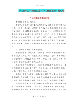个人挂职工作情况汇报与个人整改报告4篇汇编