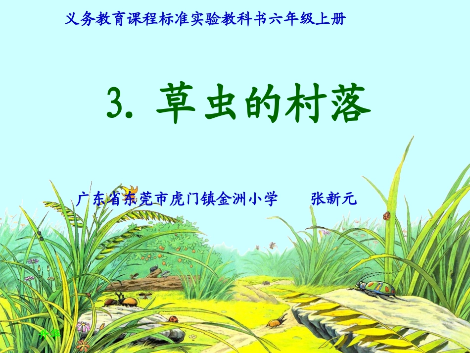 《草虫的村落》课件_第1页