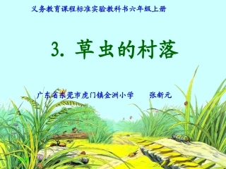《草虫的村落》课件
