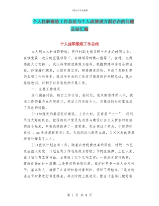 个人挂职锻炼工作总结与个人政绩观方面存在的问题总结汇编
