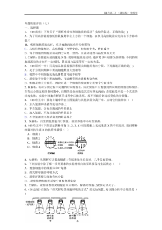 专题质量评估（七