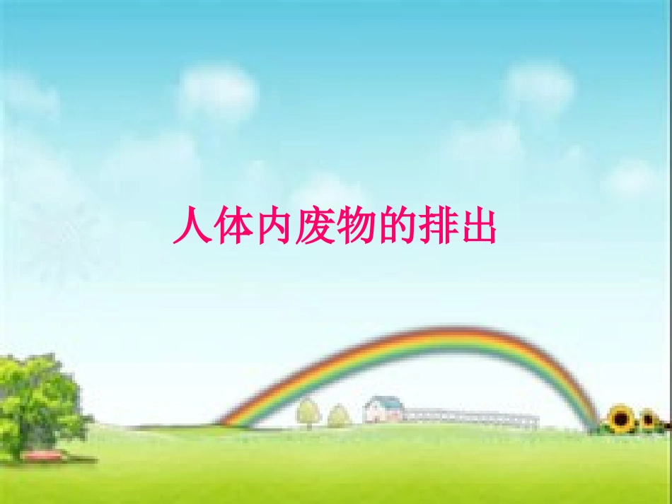 人体内废物的排出_第1页