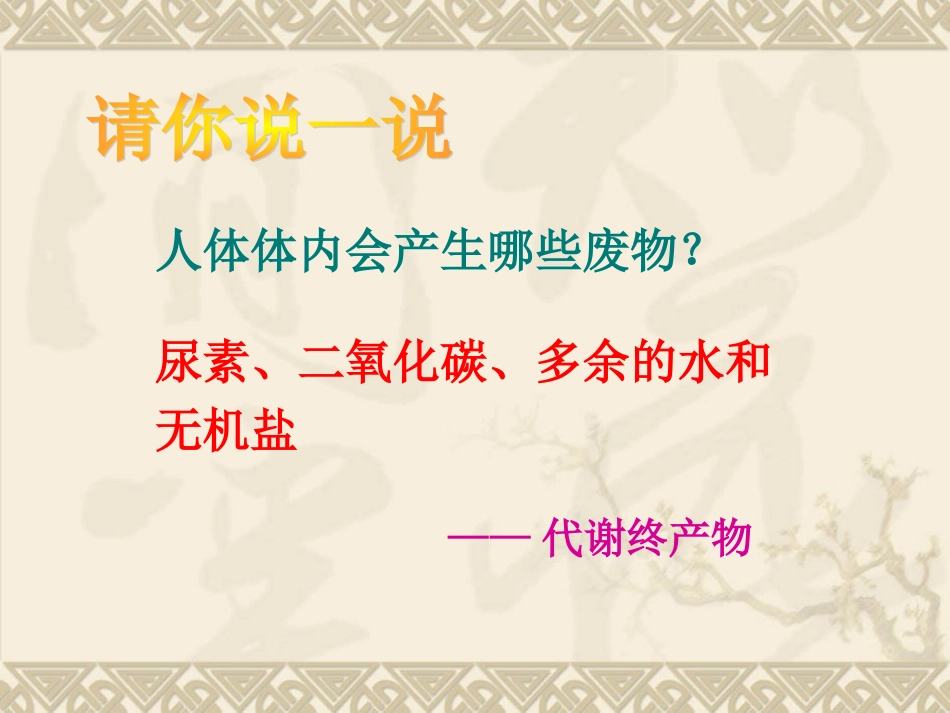 人体内废物的排出_第2页