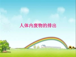 人体内废物的排出