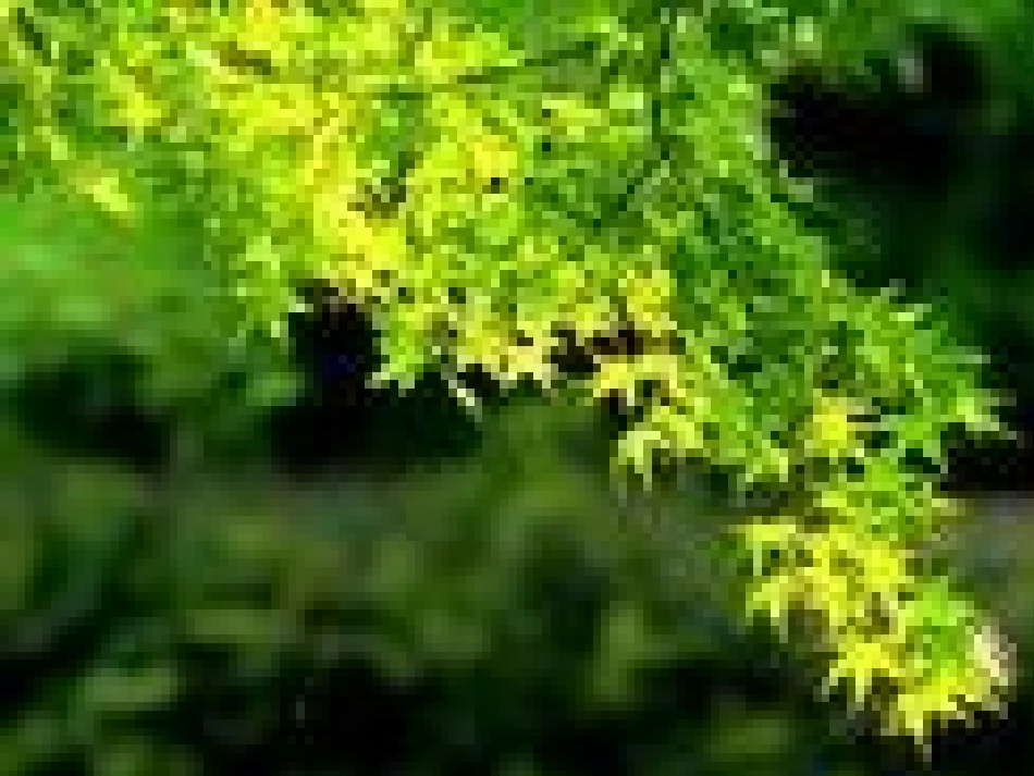 （精品春_朱自清_课件_第1页