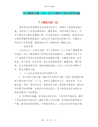 个人整改方案与个人新年工作计划书汇编