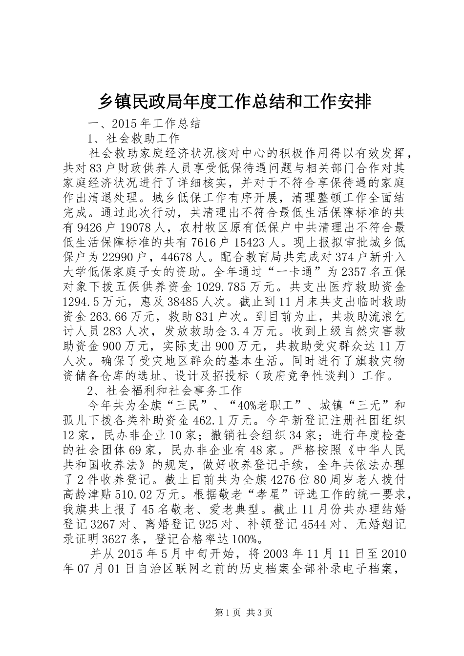 乡镇民政局年度工作总结和工作安排_第1页