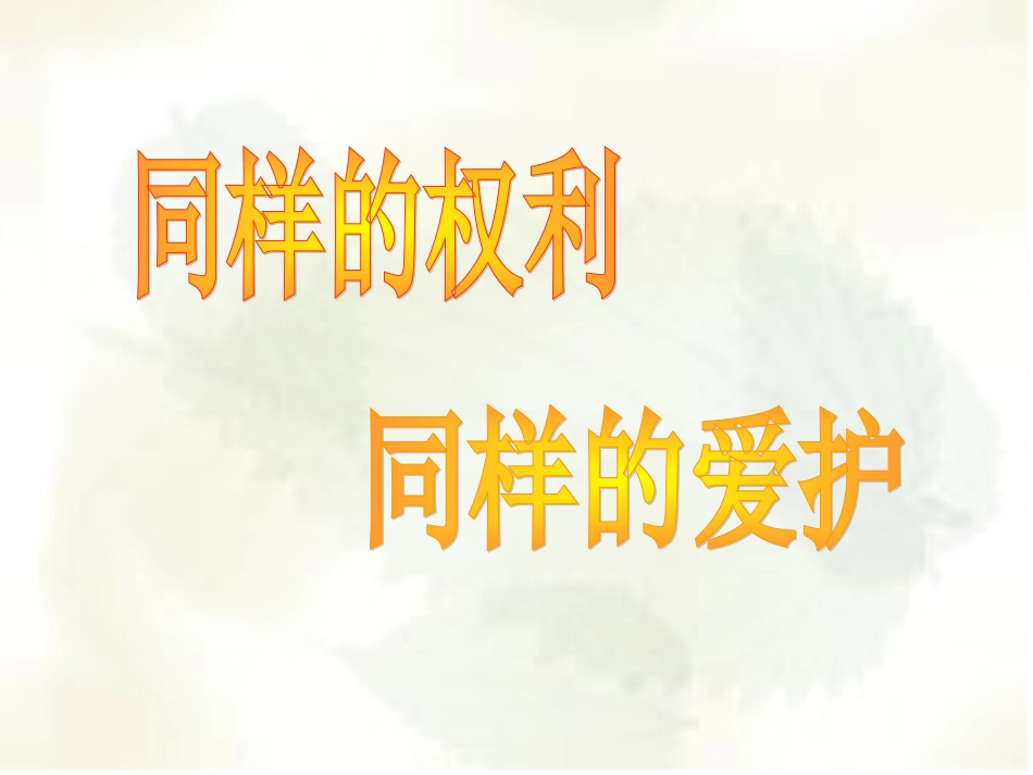 同样的权利同样的爱护_第2页