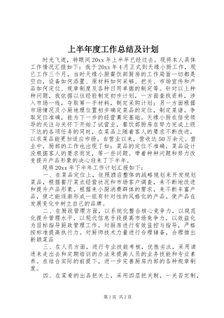 上半年度工作总结及计划