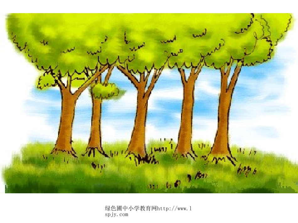 苏教版一年级下册语文《放小鸟》课件PPT_第1页