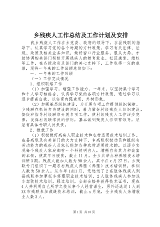 乡残疾人工作总结及工作计划及安排