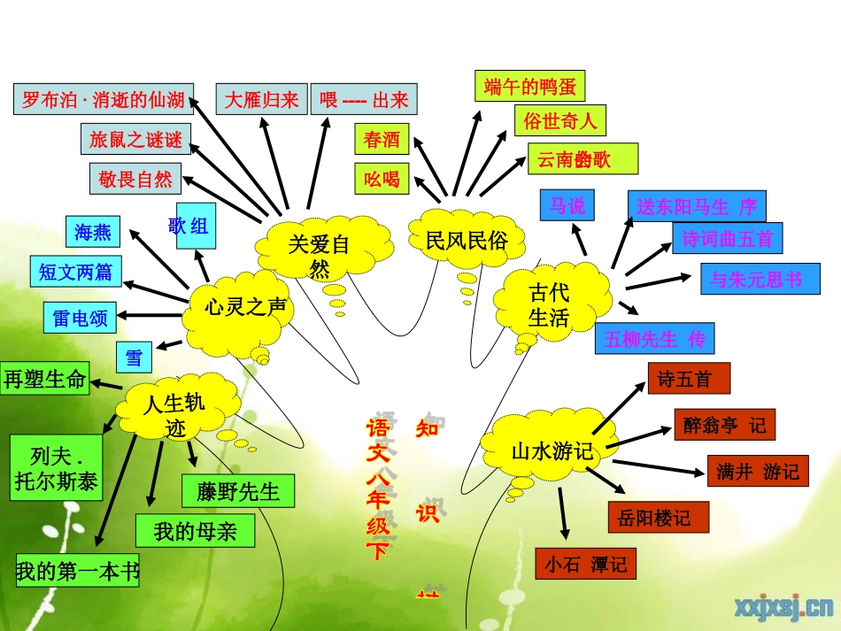 八年级知识结构_第1页