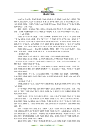 神奇的干细胞