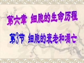 细胞的衰老和凋亡