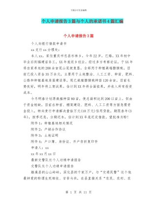 个人申请报告3篇与个人的承诺书4篇汇编