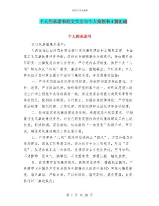 个人的承诺书范文大全与个人策划书4篇汇编