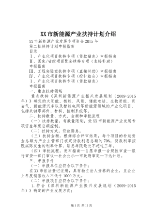 XX市新能源产业扶持计划介绍