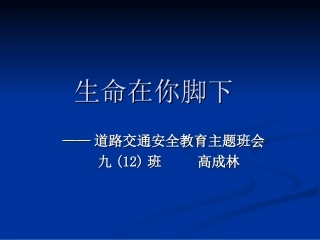 交通安全主题班会