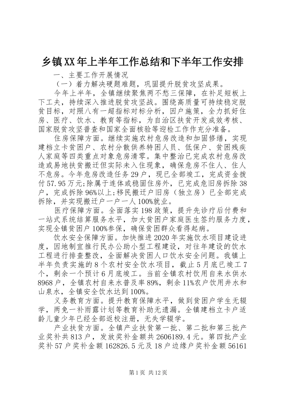 乡镇XX年上半年工作总结和下半年工作安排_第1页