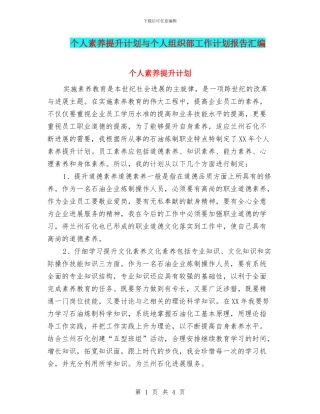 个人素质提升计划与个人组织部工作计划报告汇编