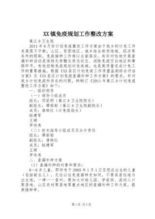 XX镇免疫规划工作整改方案