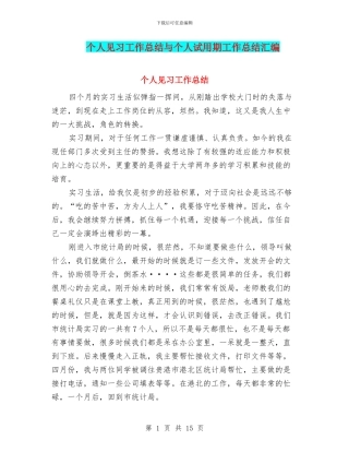 个人见习工作总结与个人试用期工作总结汇编