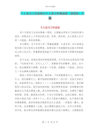 个人见习工作总结与个人见习年度总结汇编
