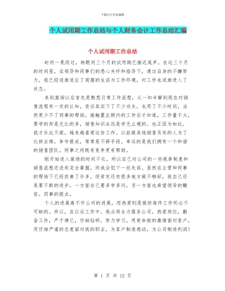 个人试用期工作总结与个人财务会计工作总结汇编