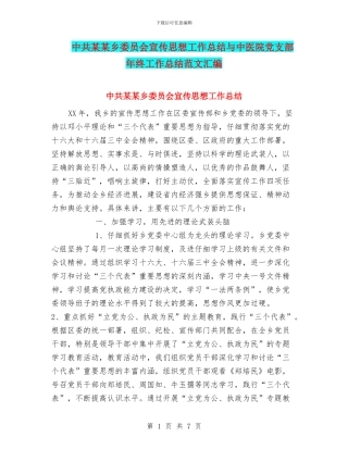 中共某某乡委员会宣传思想工作总结与中医院党支部年终工作总结范文汇编