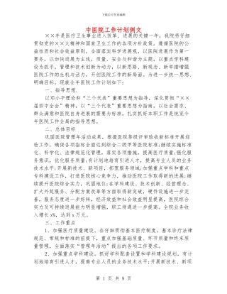 中医院工作计划例文