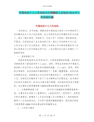 中国电信个人工作总结与中国磷肥工业协会2024年工作总结汇编