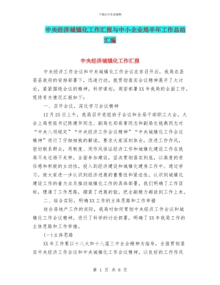 中央经济城镇化工作汇报与中小企业局半年工作总结汇编