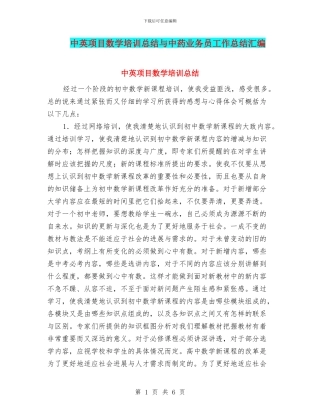 中英项目数学培训总结与中药业务员工作总结汇编