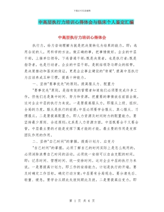 中高层执行力培训心得体会与临床个人鉴定汇编