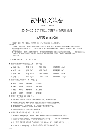 中考专题—上学期阶段性质量检测