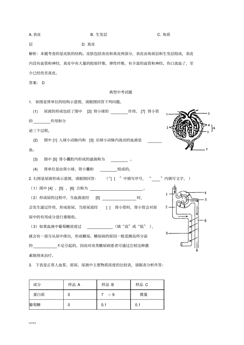 中考专题人体内废物的排出知识点汇总及复习题_第3页