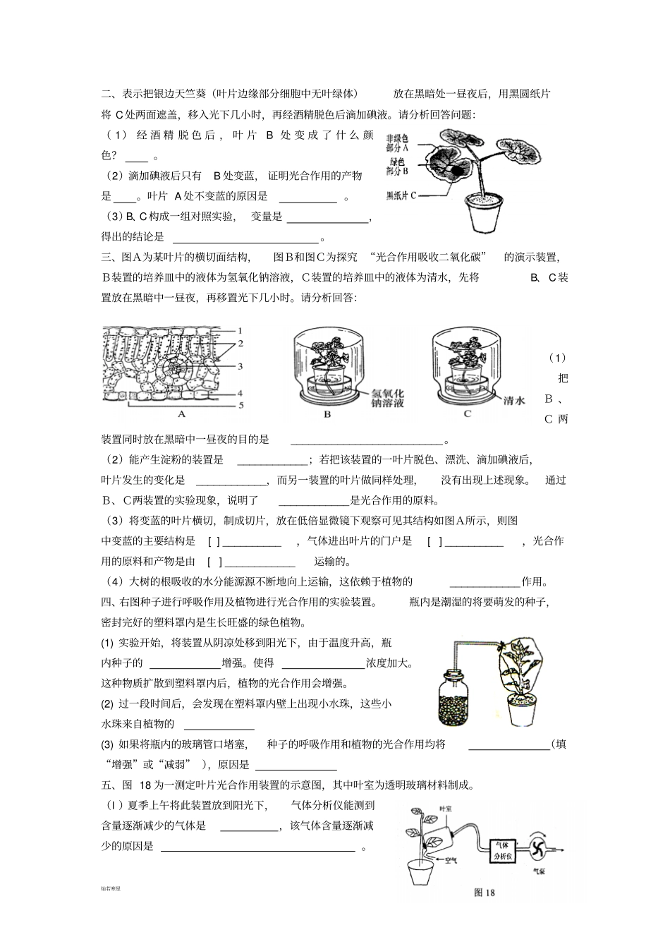 中考专题植物的三大作用_第2页