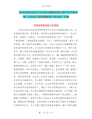 乌洽会宣传总结工作总结与乘胜前进正视不足严格自律汇编