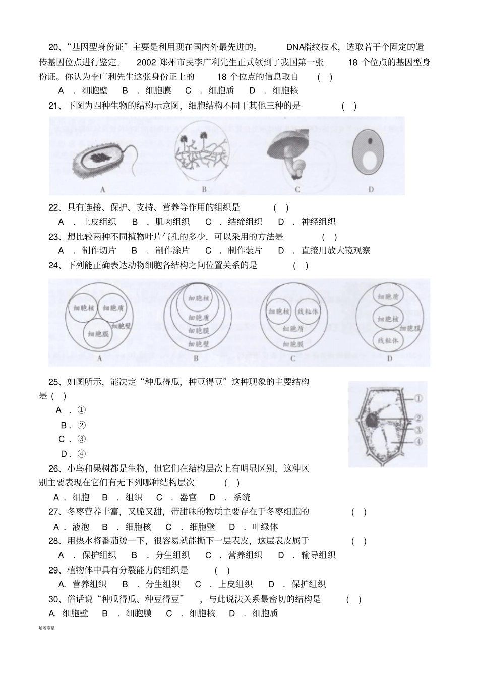 中考专题练习专题一生物的结构层次_第3页