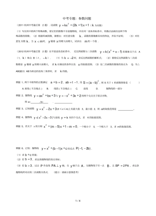 中考专题：参数问题